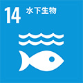 bifa���ط�(Ψһ)�й��ٷ���վ